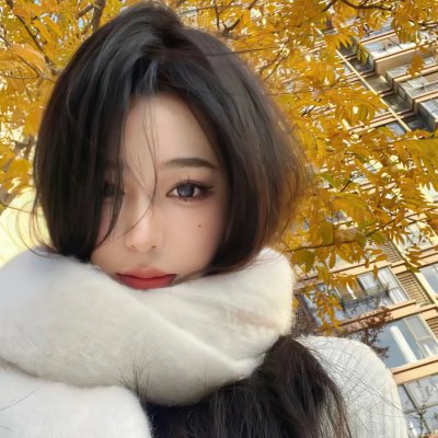 掟上今日子的备忘录
